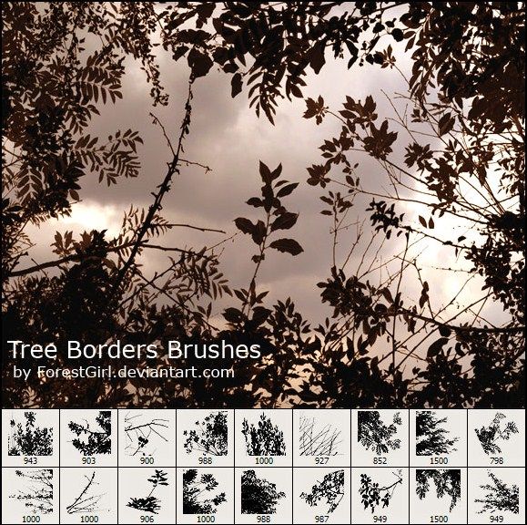 http://www.brushking.eu/images/thumb/2012/05/488-tree-borders-brushes.jpg