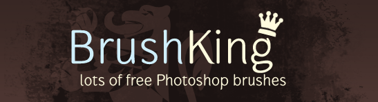 Logo Brush King