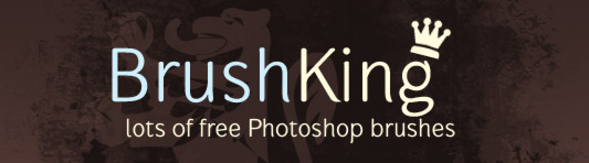 Logo Brush King