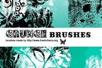 Brush Screenshot